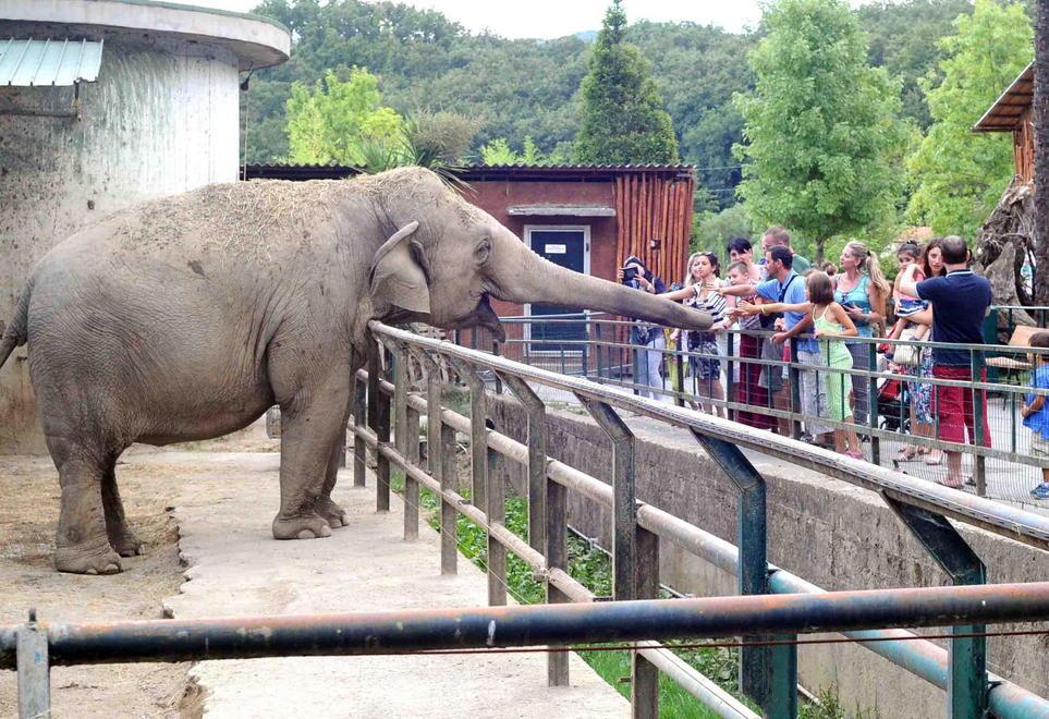 Lo zoo di Pistoia pronto a raddoppiare i suoi spazi 