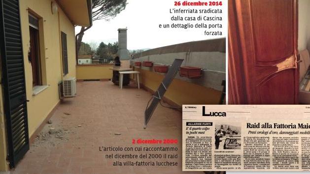 Il ladro di casa mia ruba da quindici anni. Me l’ha detto il Dna