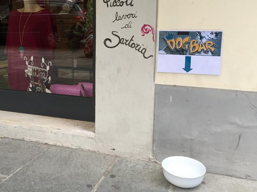A Scandiano un “bar” per i cani a passeggio 