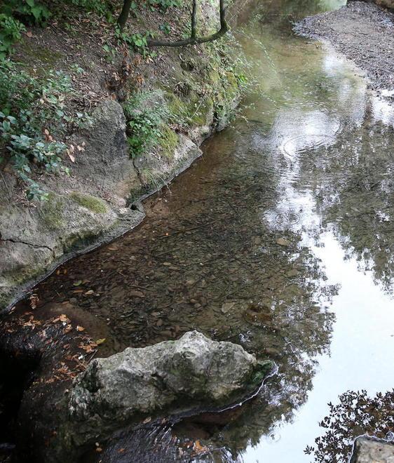 Il corso d'acqua dopo la ripulitura