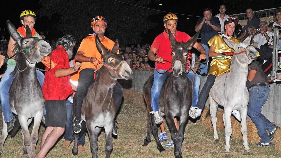 Palio, migliaia di euro per garantire la sicurezza dei ciuchi