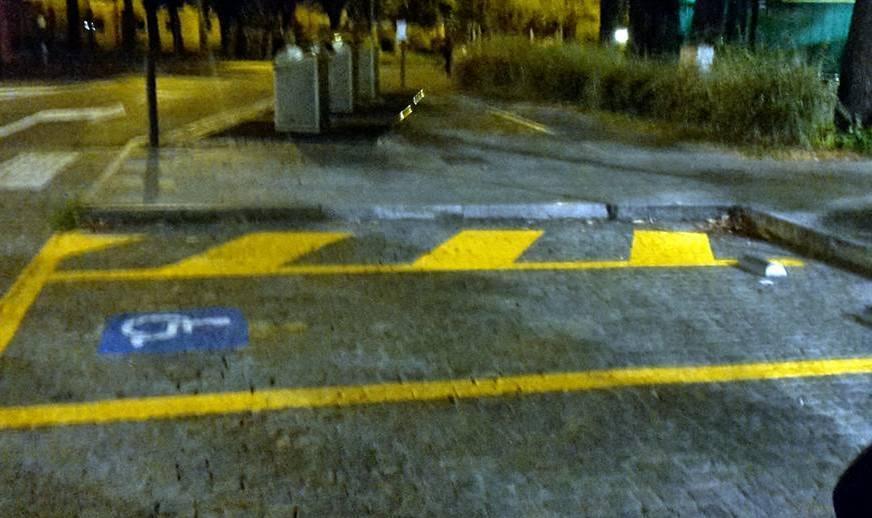 Disabili, 154 posteggi censiti dallo stagista