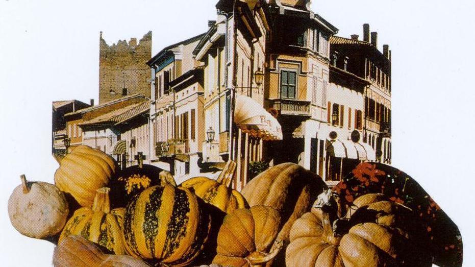Tutti a Milano a... nutrire il pianeta