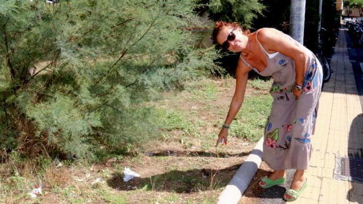 I bisogni per terra del cane diventano una denuncia