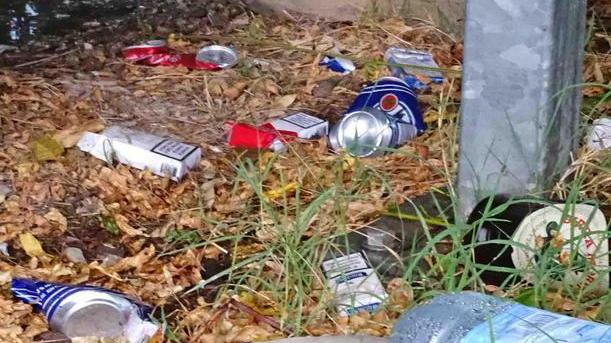 Quel parco milionario regno del degrado