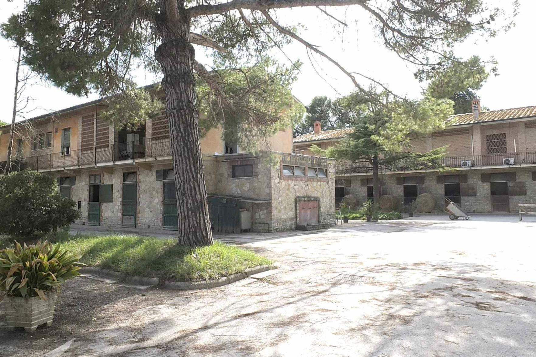 Barbaricina fra epica e orrori, all'asta la scuderia dei campioni