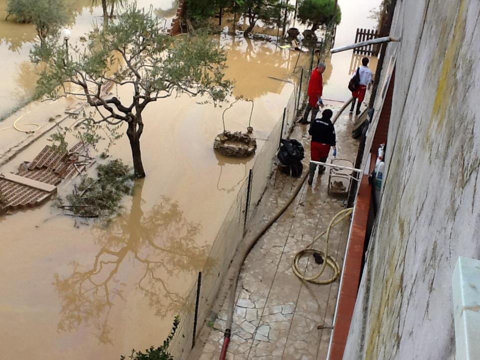 Animali avvelenati dal fango dell'alluvione