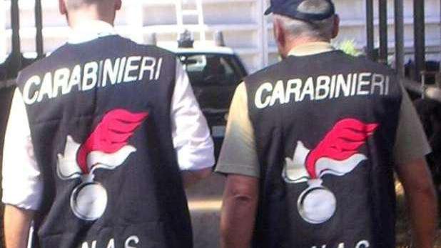 I Nas in azione (foto d'archivio)