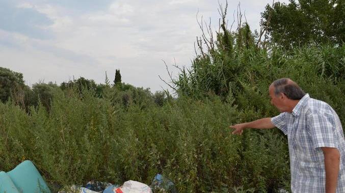 Tredici verbali contro l’inciviltà
