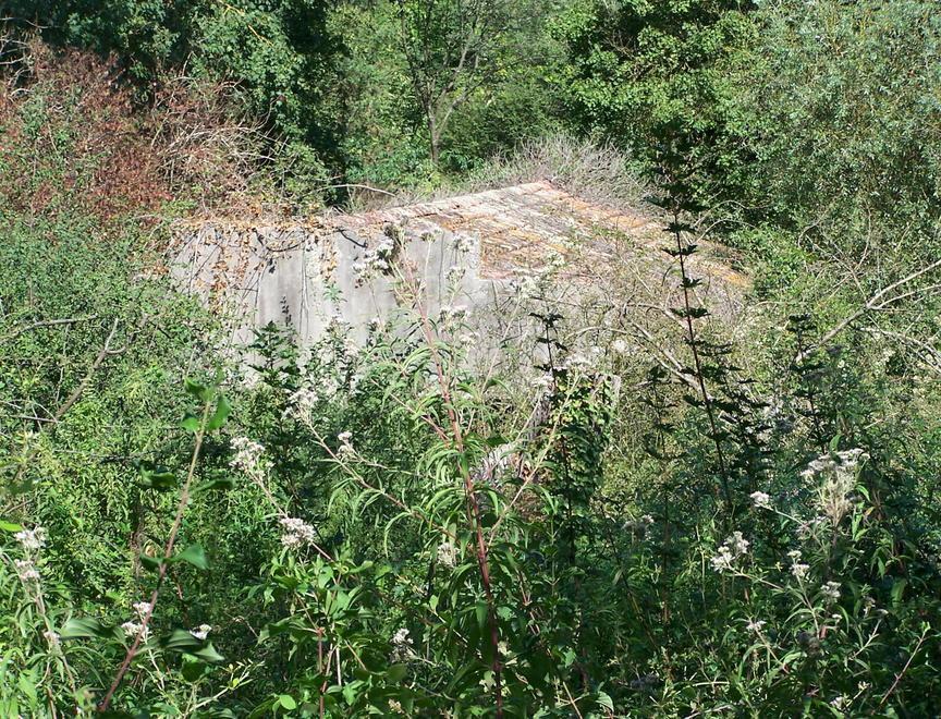 Impianti sportivi divorati dall’incuria e dal degrado 