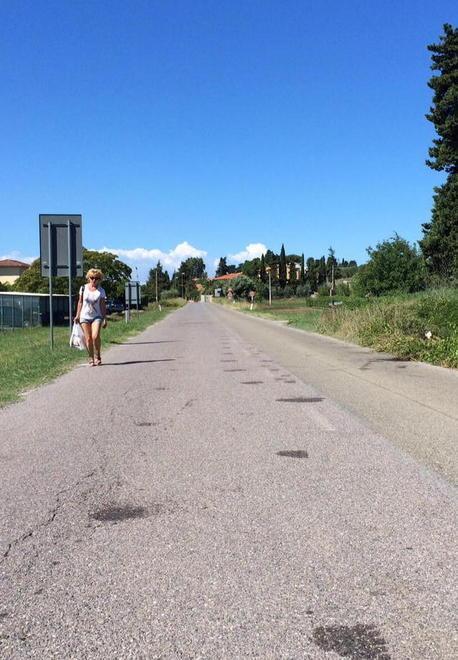 Un piano straordinario d’abbattimento dei cinghiali 