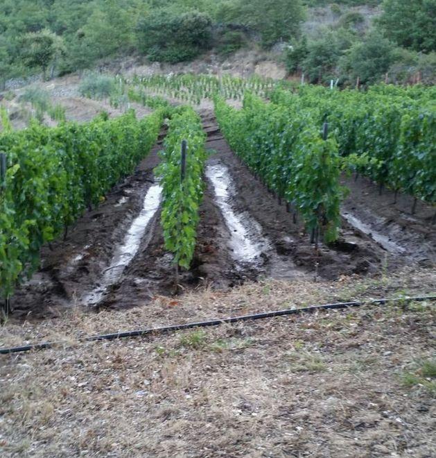 Acqua, un nuovo guasto: la città a secco 