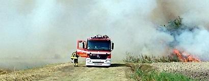 Ostellato, incendio nel Mezzano: a fuoco un boschetto 