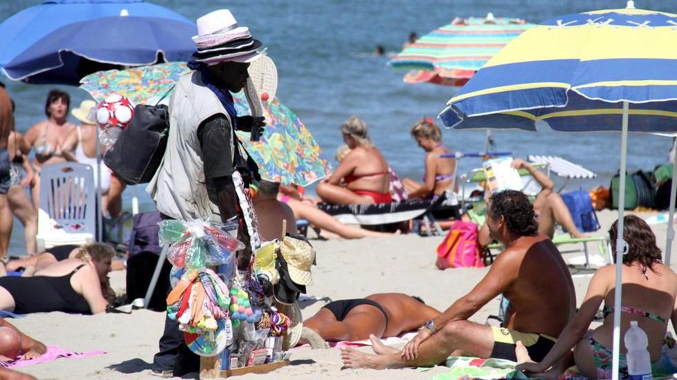 Il blitz in pineta colpisce i luoghi di stoccaggio