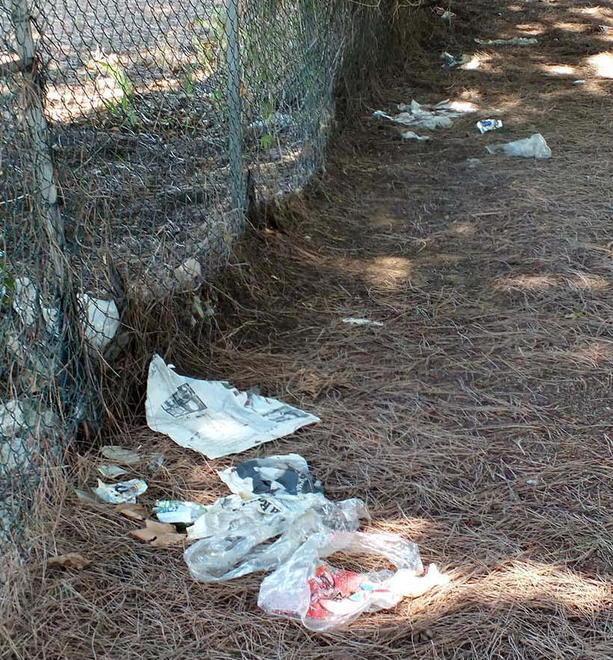 In pieno degrado il parco del Poggetto 