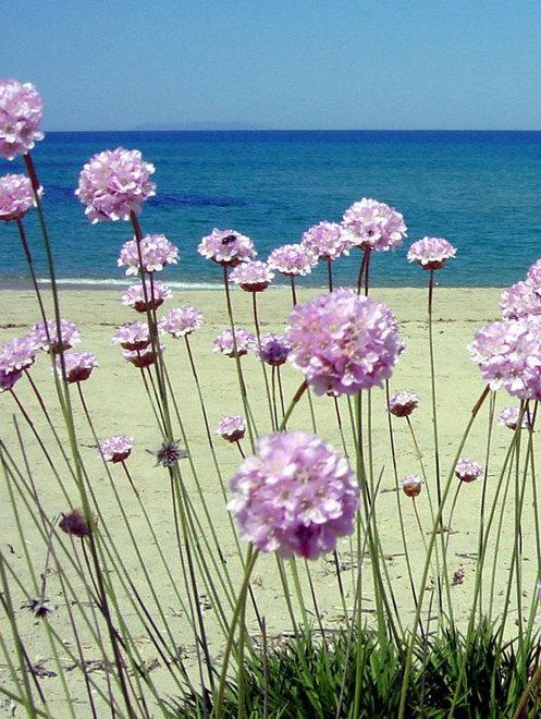 “Vacanze musicali” a Badesi 