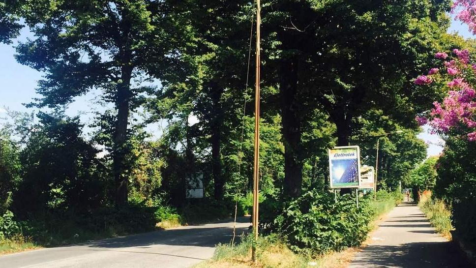 Le proteste dei residenti: «Verde pubblico nell’incuria»