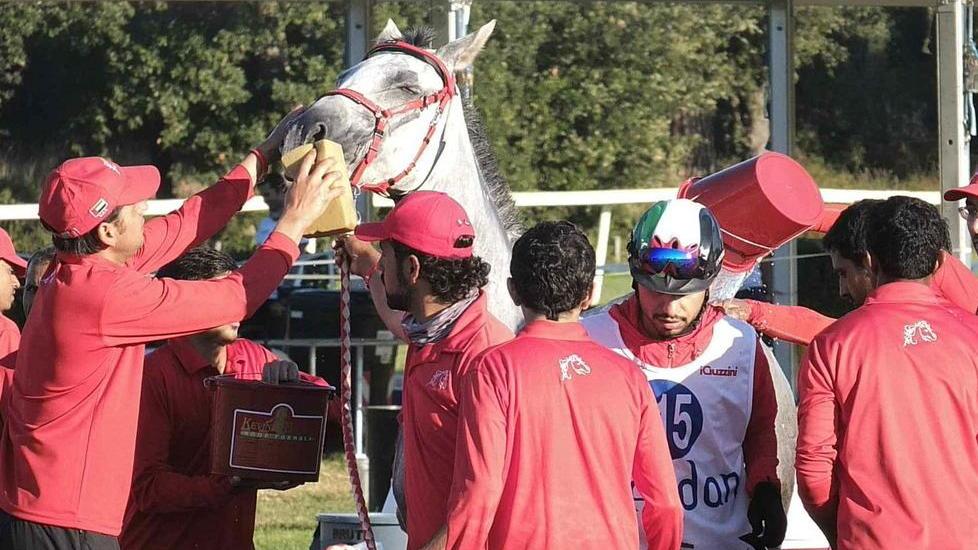 Rigidi controlli dei veterinari