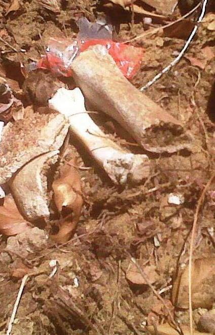 Mistero: affiorano ossa vicino al campo sportivo 