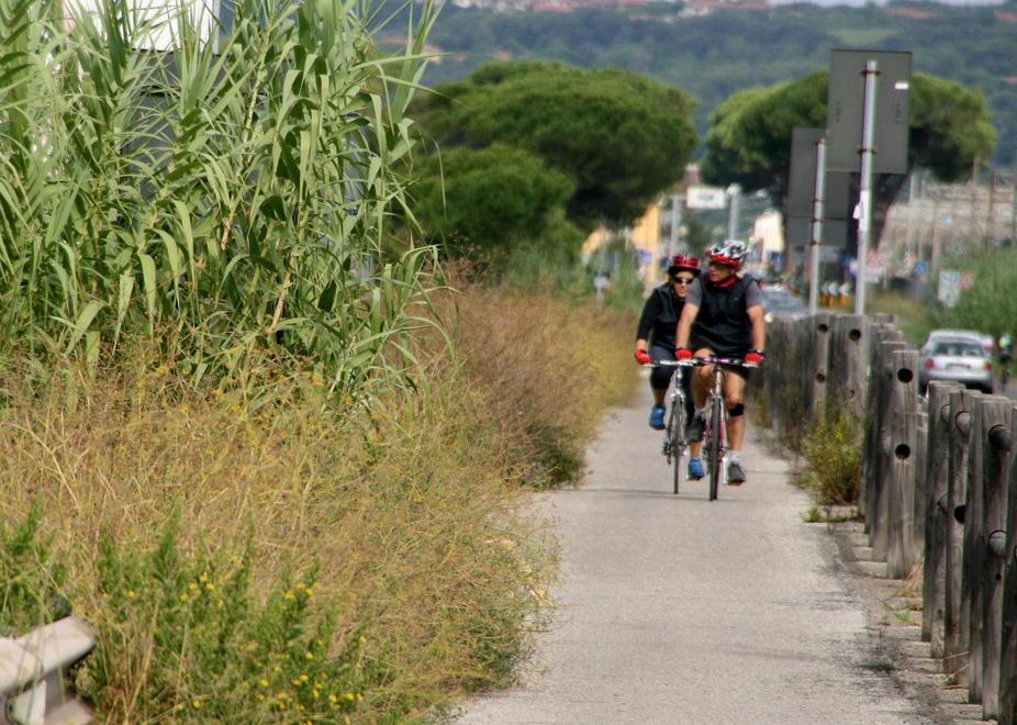 Ciclabile, nuovo asfalto tra Rosignano e Vada 