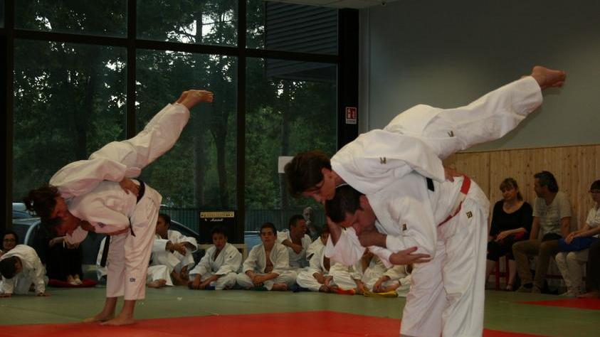 Dojo Sdk, medaglie a raffica