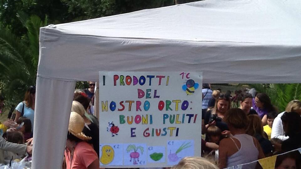 orto