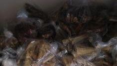 La carne sequestrata dalla polizia municipale