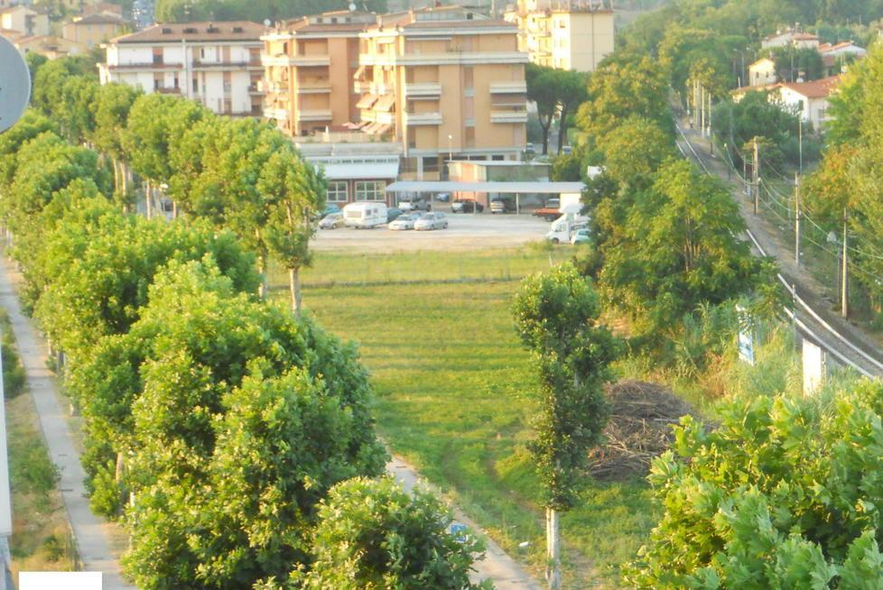 Viale Adua chiede un giardino pubblico