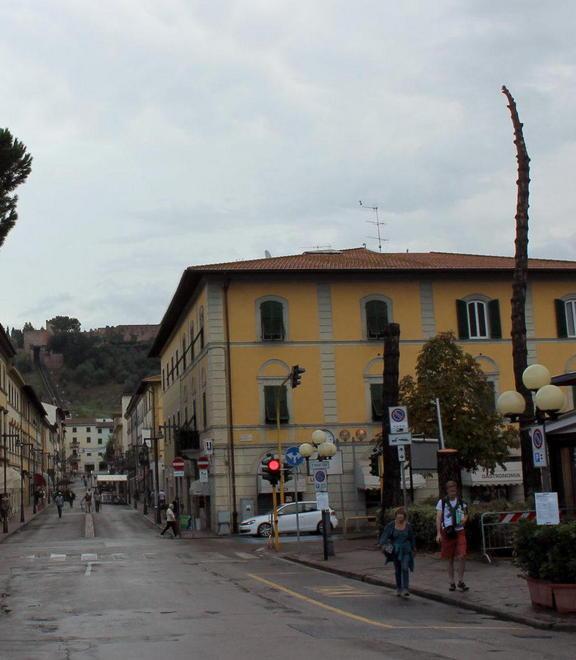 Abbattuti nove pini in piazza Masini