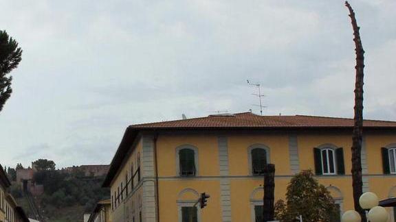 Abbattuti nove pini in piazza Masini