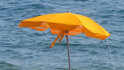 Cane muore, sospetti sulla spiaggia