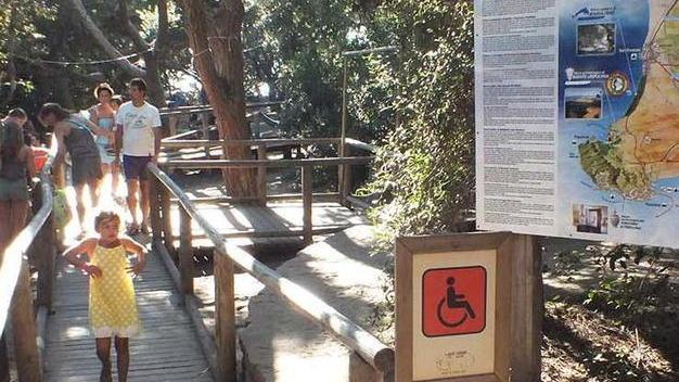 Quattro teli sequestrati a Rimigliano donati alla San Vincenzo de’ Paoli