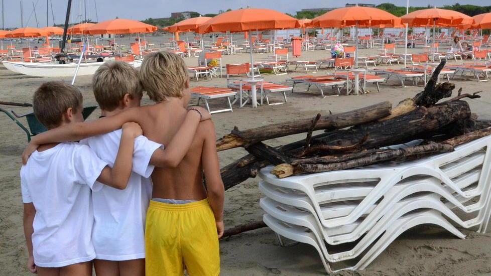 Quintali di legna spiaggiata «Mai visto niente di simile»