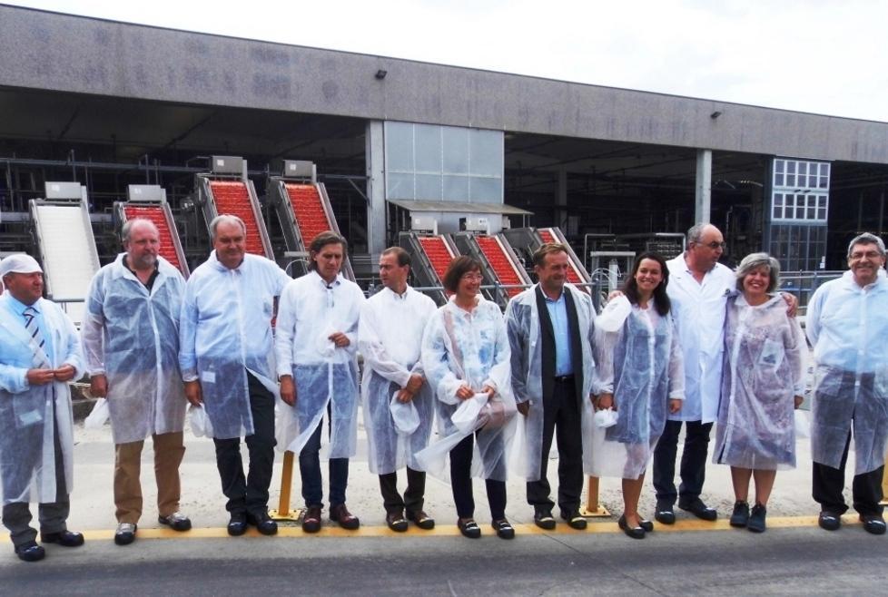 Campagna pomodoro in calo ma prodotto di alta qualità