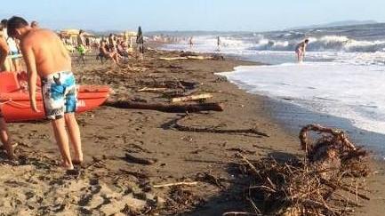 Tronchi d’albero e detriti finiti in mare: è allerta