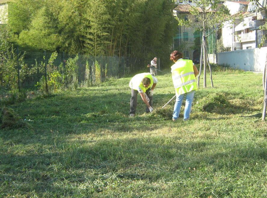 Tasse, debiti col Comune? «Puoi saldarli lavorando» 