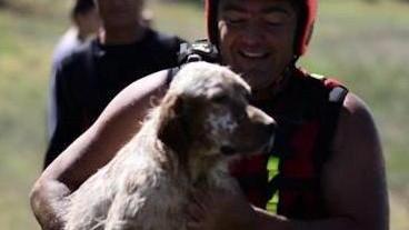 I vigili del fuoco salvano tre cani