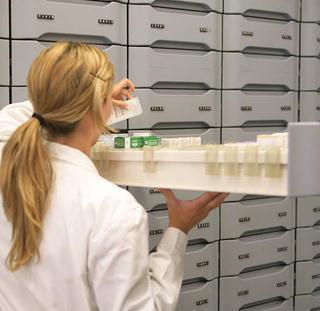 Una farmacista al lavoro (foto d'archivio)