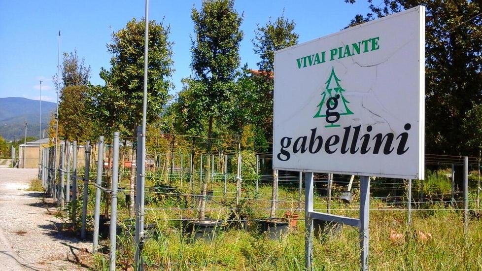 Si dimettono in blocco per i mancati pagamenti 