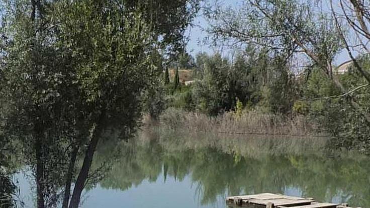 Laghetti di Campo, comincia la forestazione