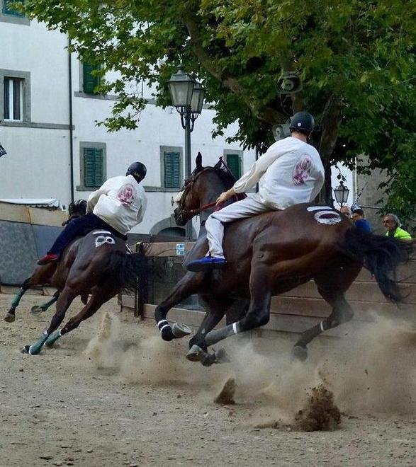Animalisti contro il Palio «Sindaco, lo impedisca»