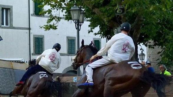 Animalisti contro il Palio «Sindaco, lo impedisca»