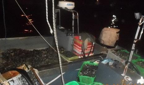Multa e sequestro di 300 chili di vongole