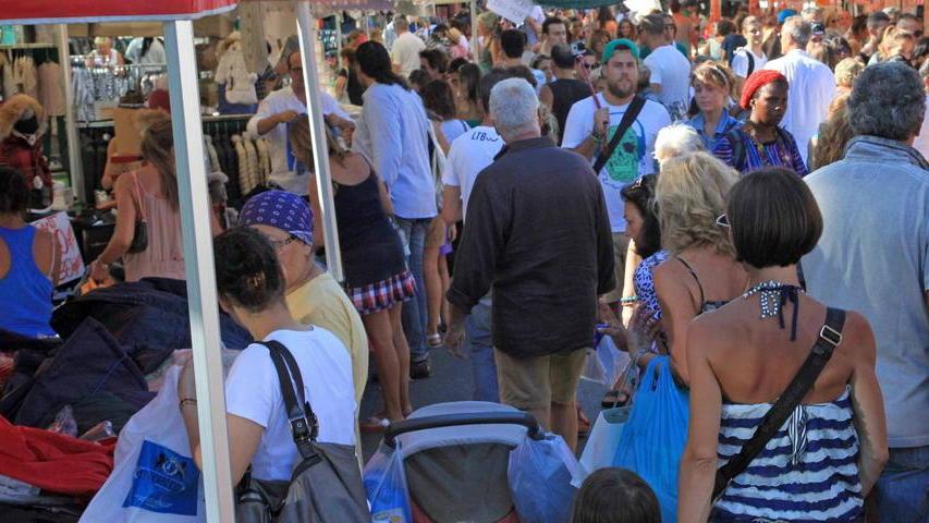Ragazzini bruciano criceti per divertirsi a Forte dei Marmi