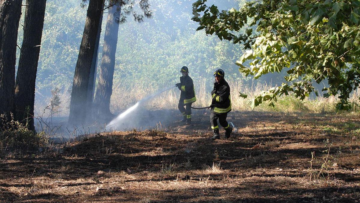 Un incendio boschivo spento dai vigili del fuoco (foto archivio)