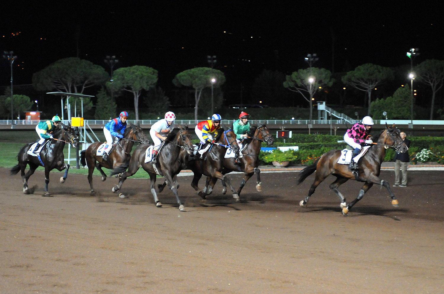 Una corsa di trotto montato (Foto Rosellini)