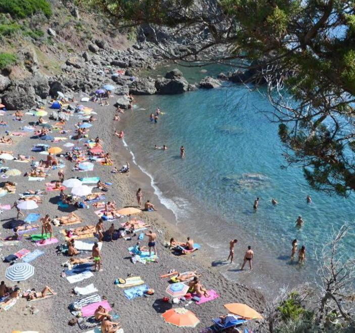 «Avevamo chiesto più volte al padrone di tenerlo legato» 