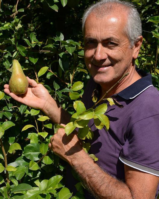 «Un disastro, distrutto circa il 30% del raccolto»