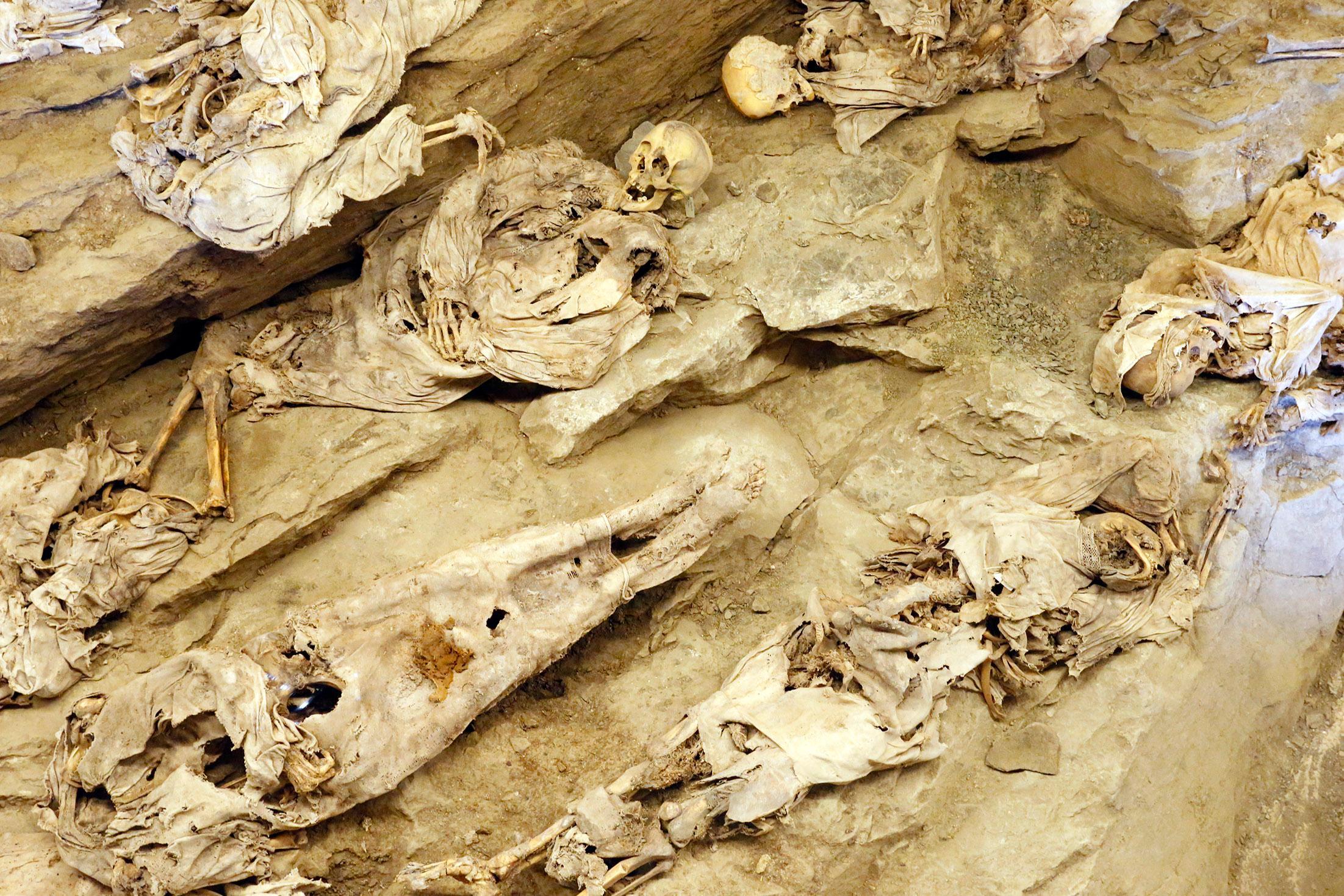 Le mummie di Roccapelago