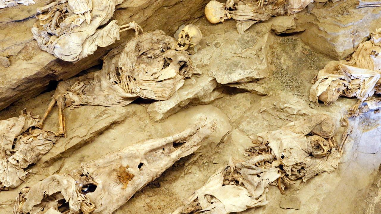 Le mummie di Roccapelago